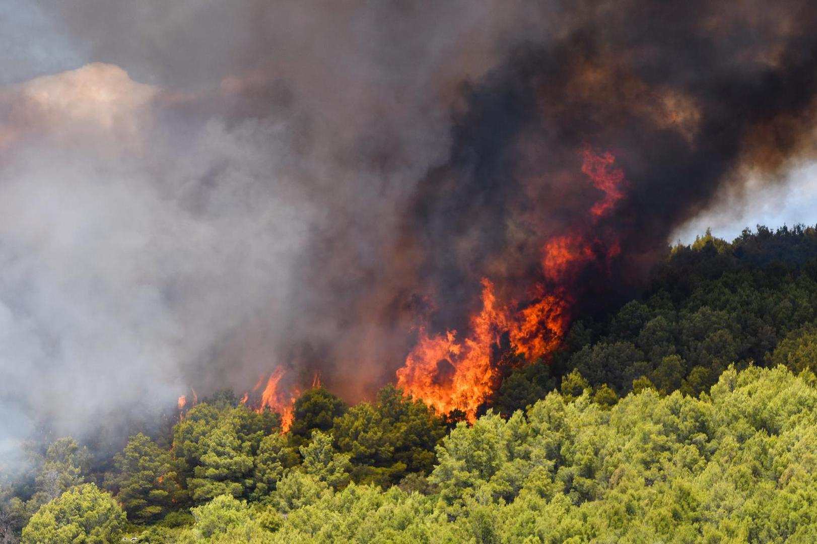 06.08.2024., Sibenik - Nesto prije 13 sati izbio je pozar u borovoj sumi u sibenskom naselju Rokici, odmah pokraj bolnice i stambenih kuca. Na terenu su vatrogasci i policija, a pozvana je i pomoc iz zraka. Suma se nalazi iznad Jadranske magistrale koja je zbog pozara zatvorena za sav promet. Photo: Hrvoje Jelavic/PIXSELL