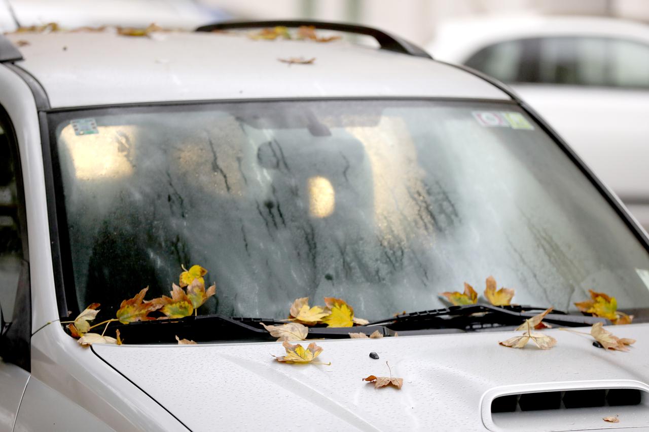 Zagreb: Otpalo lišće na automobilima u centru grada