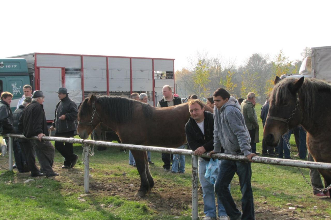 Stočni sajam u Popovači okupio brojne goste