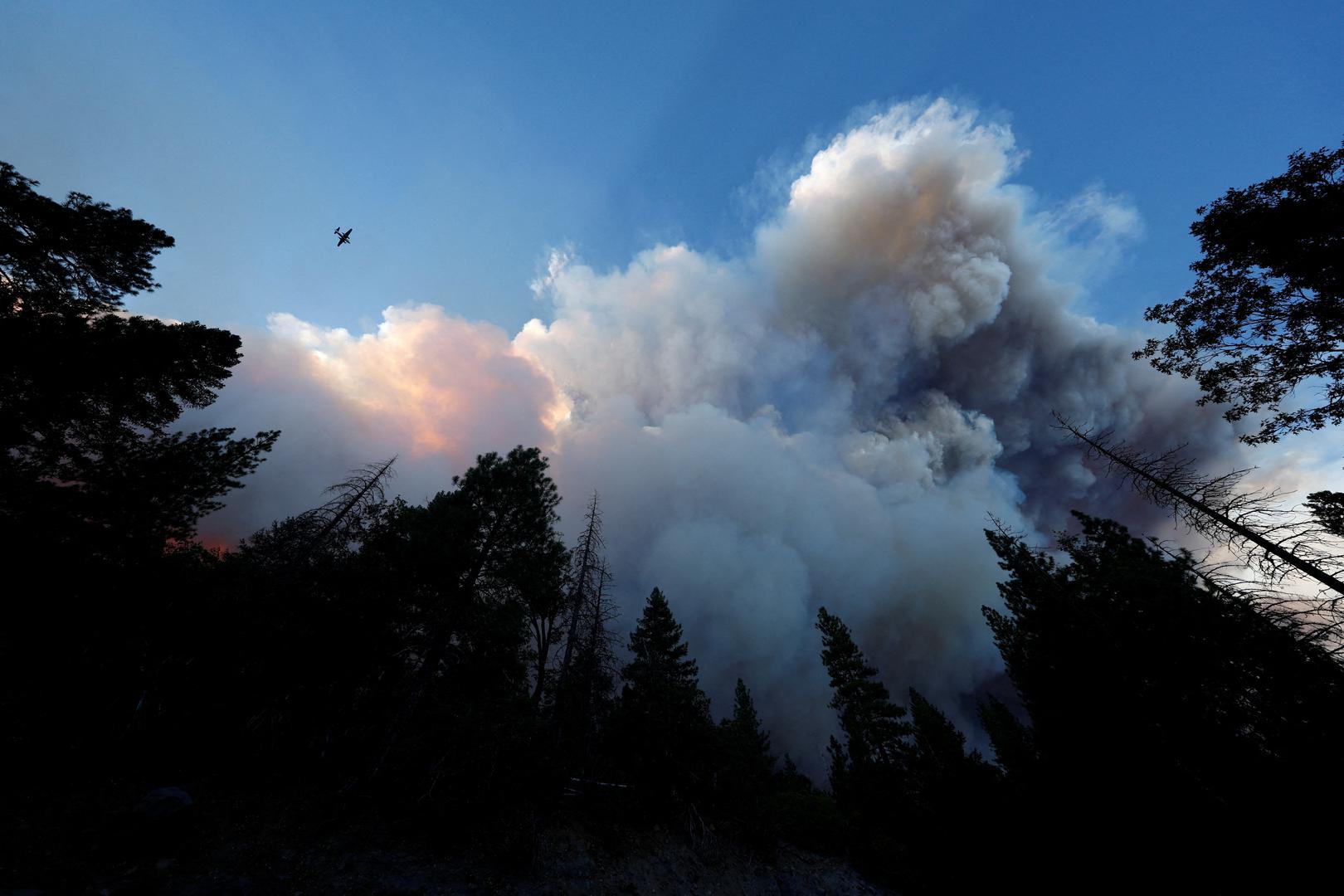 A firefighting plane is pictured as it flies towards the smoke plume from the Park Fire, along Highway 32 near Butte Meadows, California, U.S. July 26, 2024. REUTERS/Fred Greaves     TPX IMAGES OF THE DAY Photo: FRED GREAVES/REUTERS