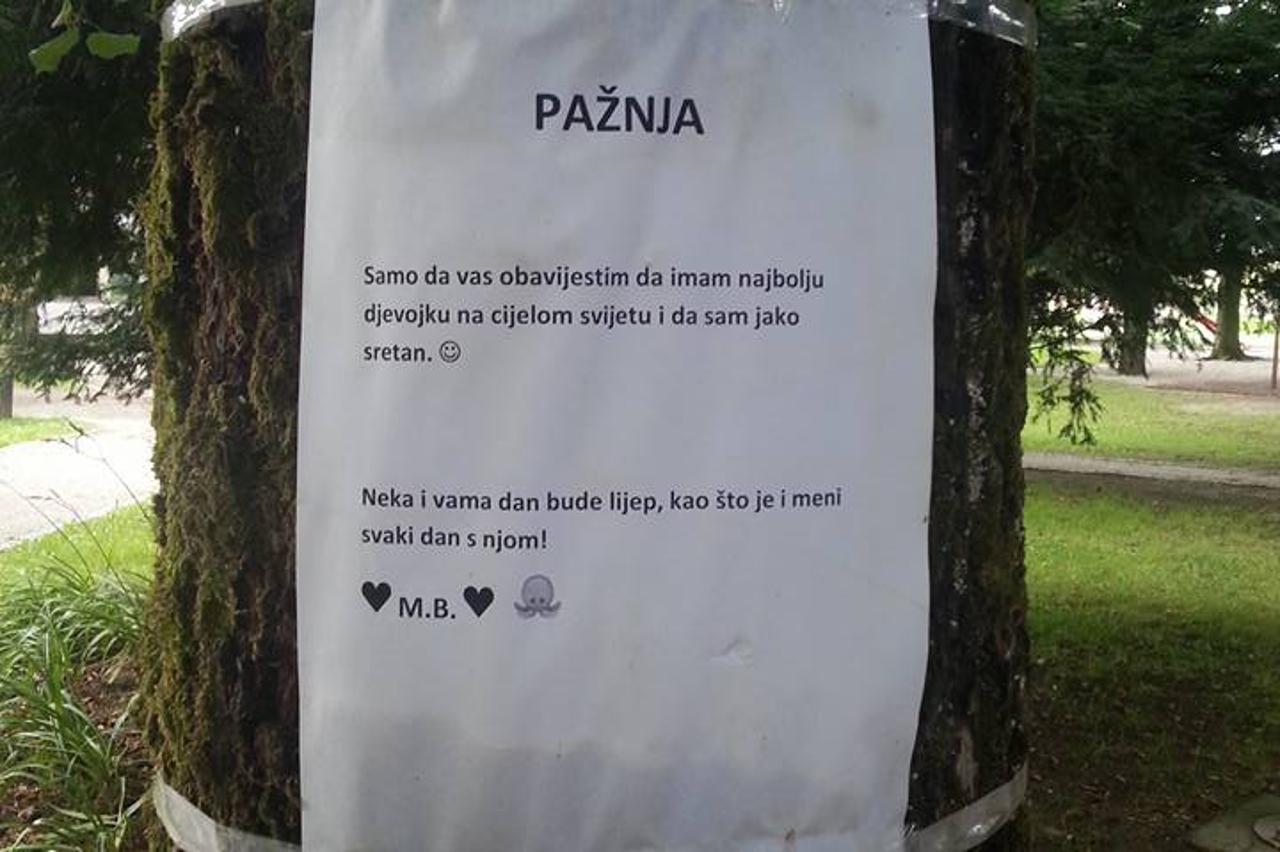 Sisački romantik 