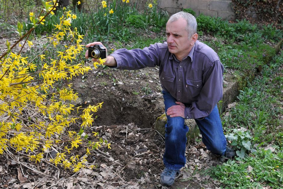 Pozega-27.03.2014. Goran Letic snimio je 83 vrste leptira. Njegov cetvorogodisnji rad skupljen je u knjizi Leptiri pozeskog kraja.Snimanje na terenu. Snimio:Dusko Mirkovic-Pixsell