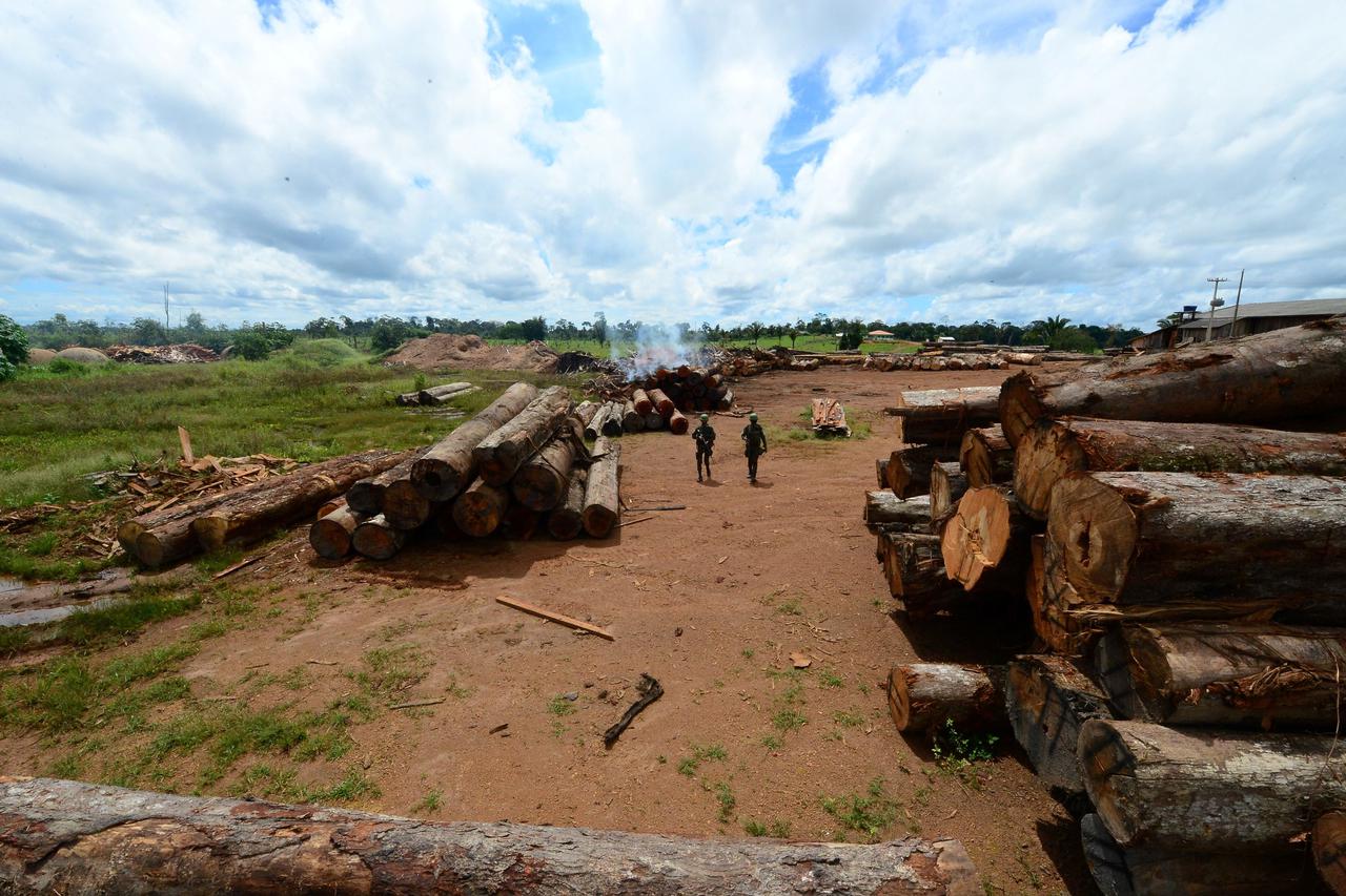 Brazil's military fails to halt Amazon deforestation