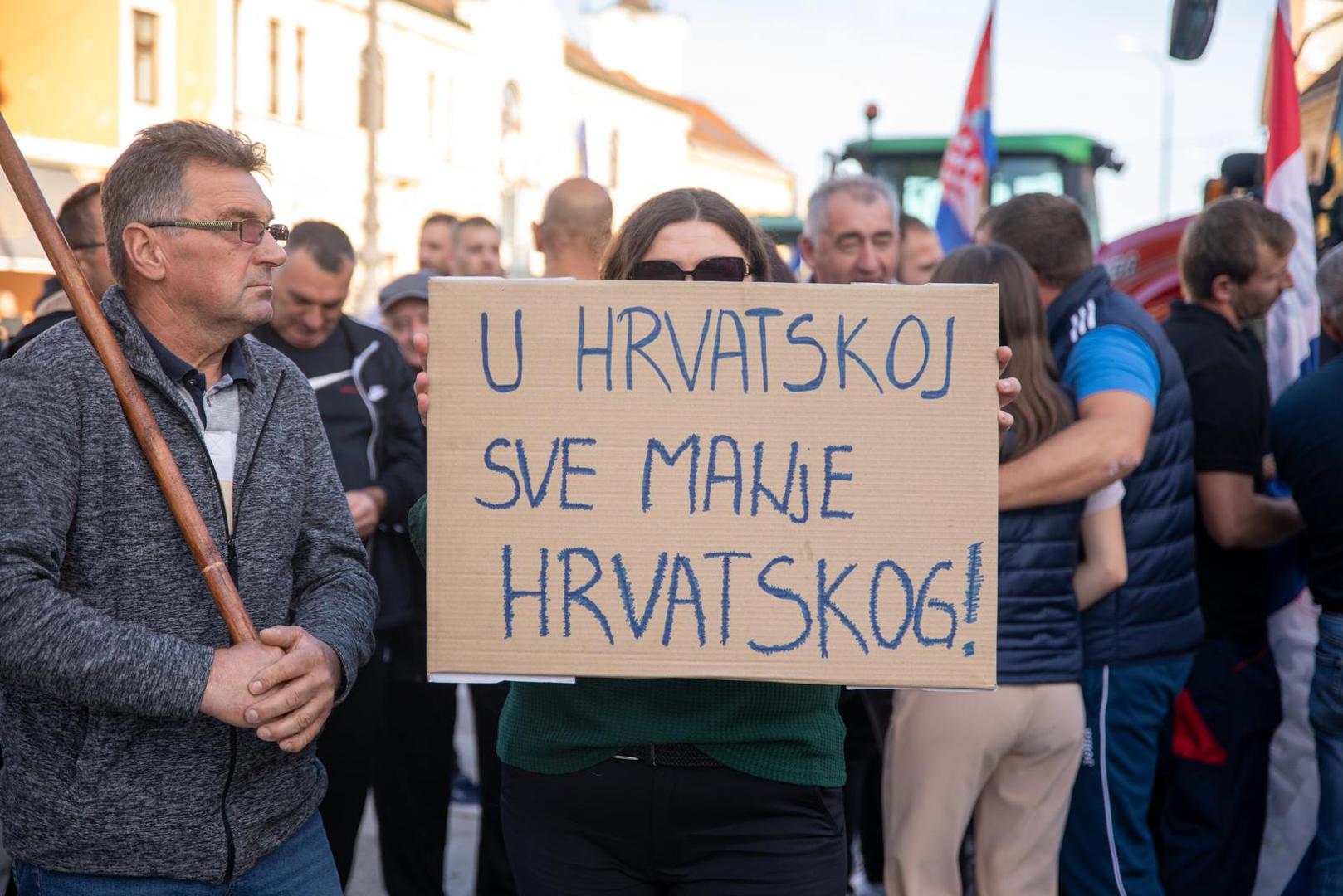 29.10.2023., Vinkovci - Prosvjed svinjogojaca u Vinkovcima zbog africke svinjske kuge. Photo: Borna Jaksic/PIXSELL