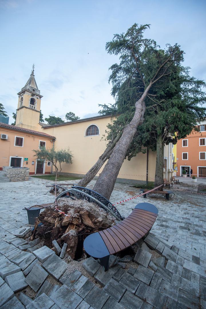 Intervencije su se uglavnom sastojale od pada stabala, a najveća šteta je bila u krugu pazinskog Doma zdravlja gdje je stablo palo na ambulantno vozilo tako da je ondje nastala značajna materijalna šteta, doznaje se u pazinskoj vatrogasnoj postrojbi.