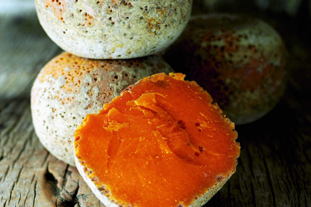 mimolette