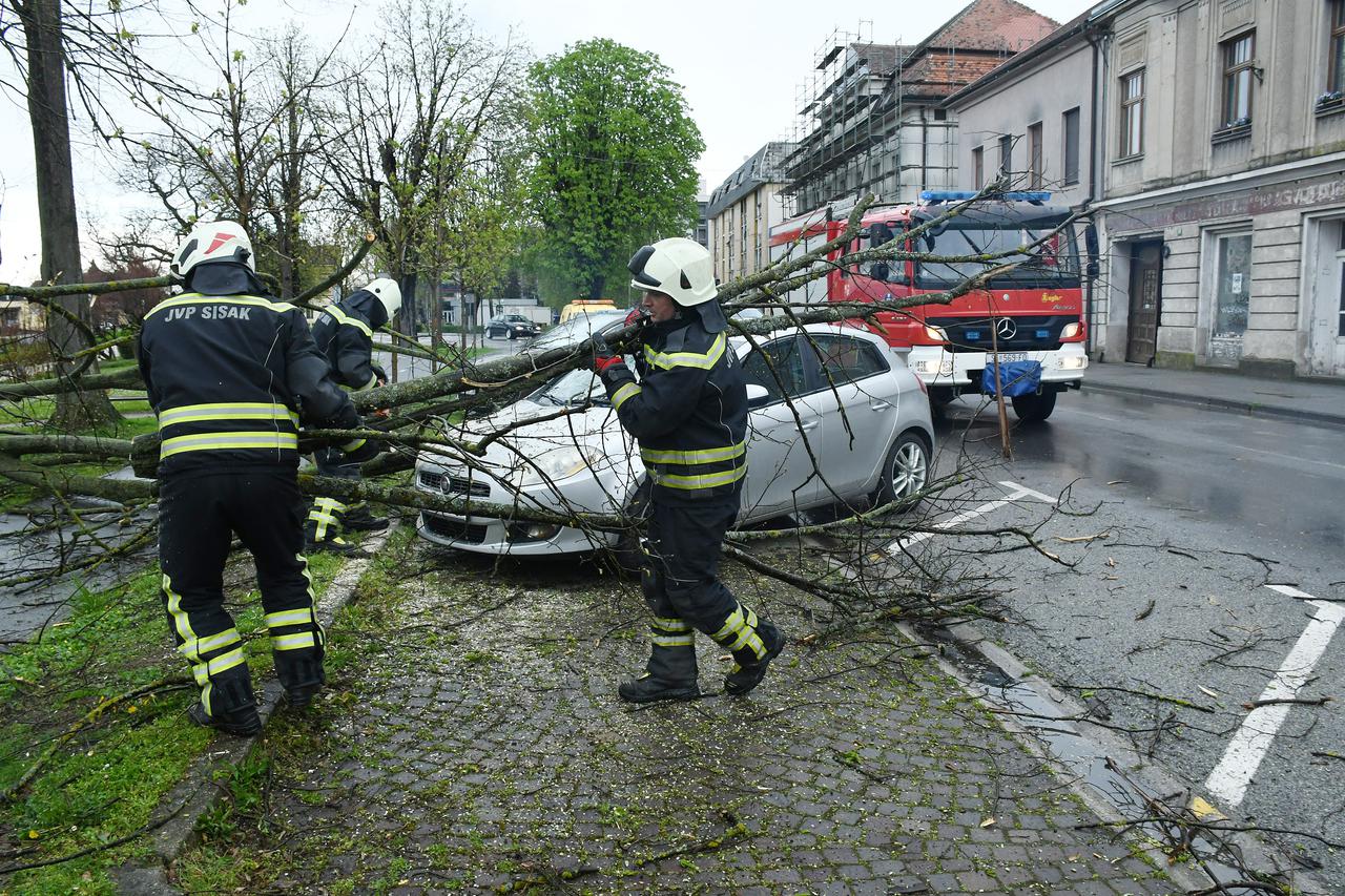 Sisak: Intervenirali vatrogasci nakon što je jaki vjetar oborio  stablo na automobil