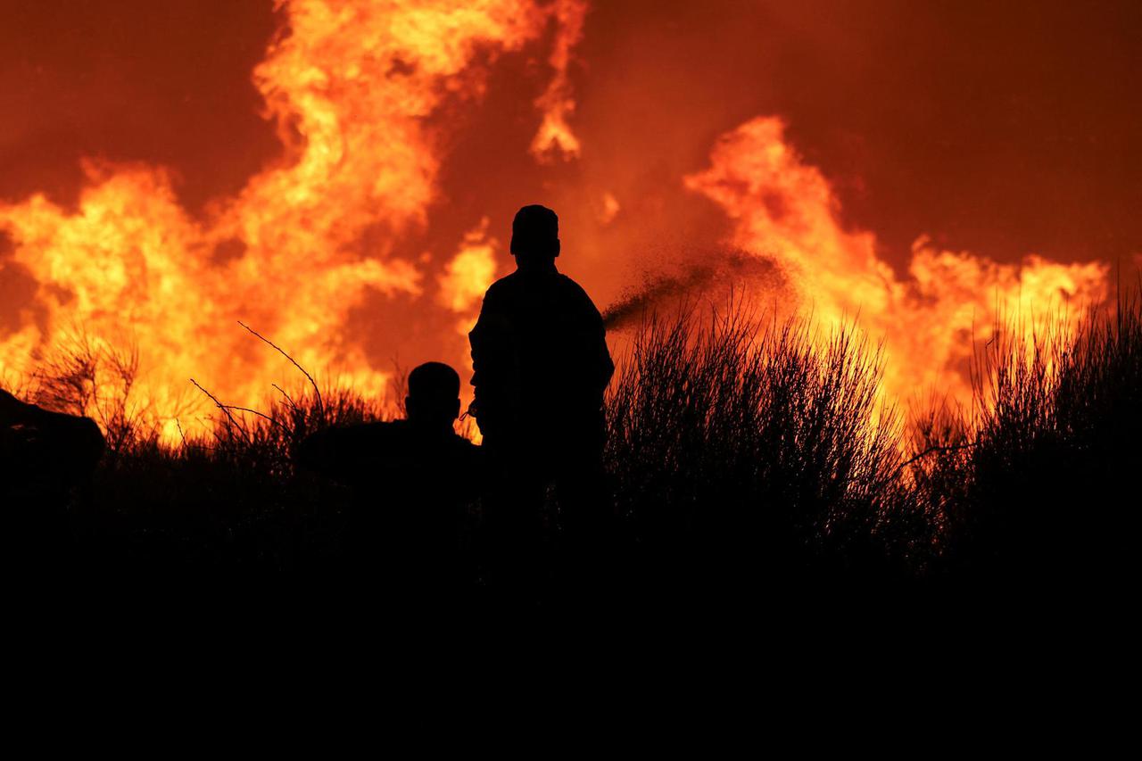 Wildfire burns in Grammatiko, near Athens