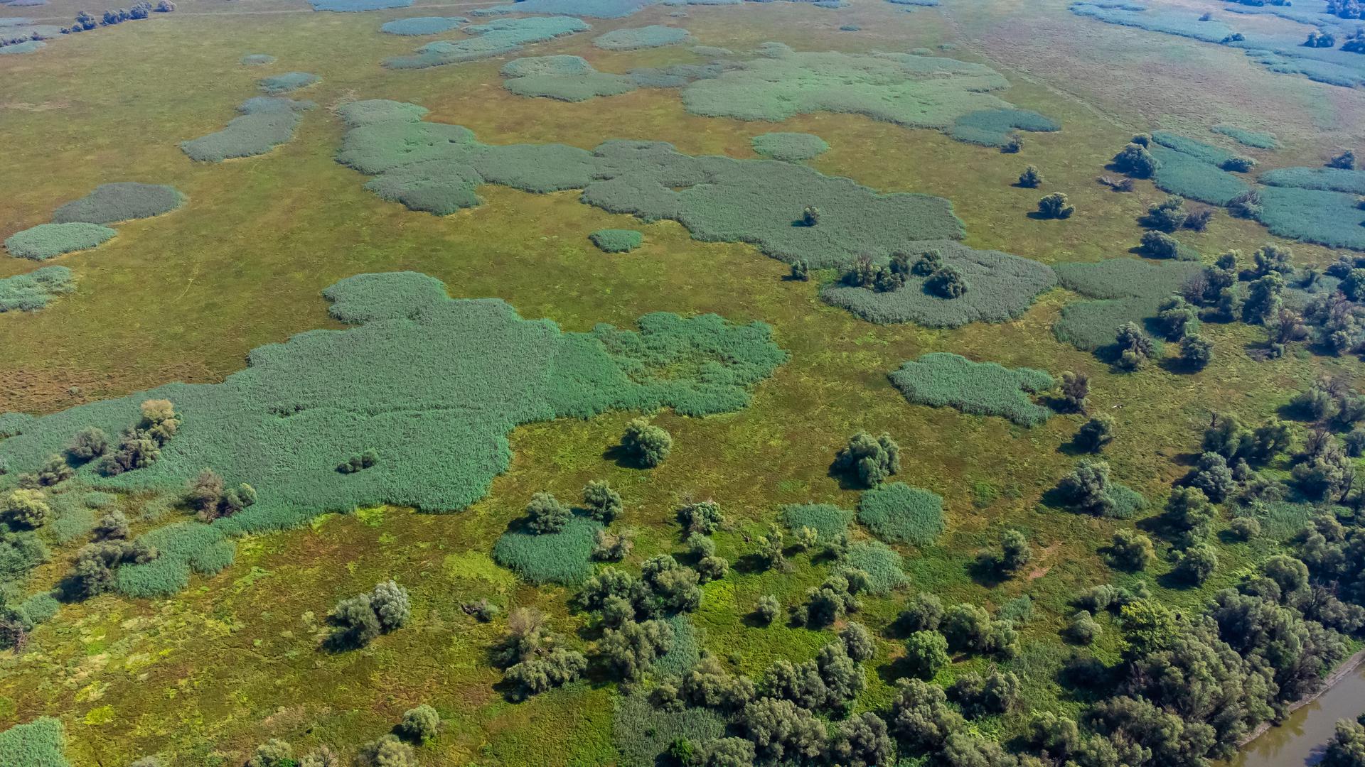 25.08.2022., Kopacki rit - Park prirode Kopacki rit jedna od najvecih mocvara Europe. Zbog niskog vodostaja rijeke Dunav veci dio Kopackog rita je bez vode. Photo: Davor Javorovic/PIXSELL