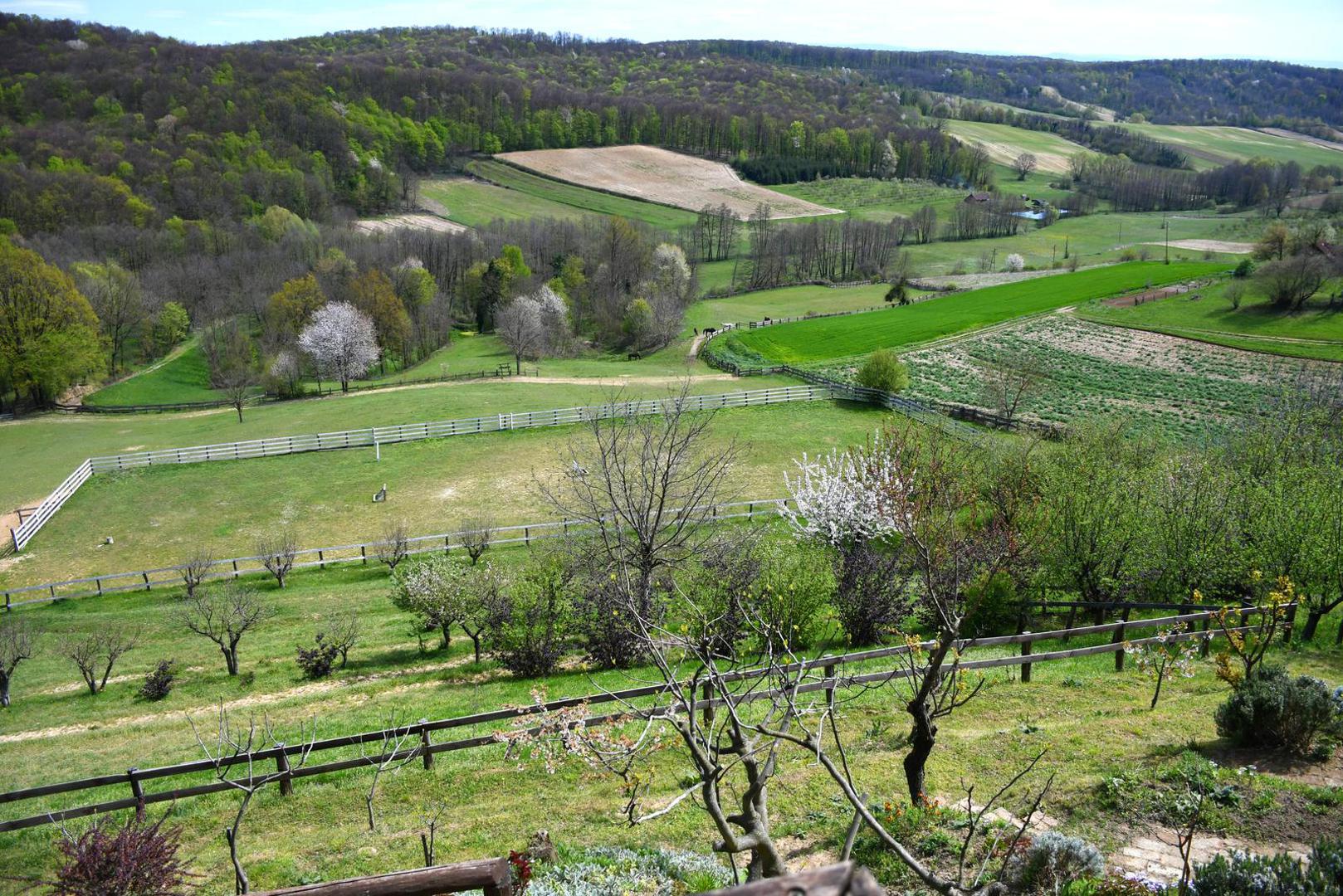 12.04.2023., Velika Pisanica - Turisticka patrola Vecernjeg lista, Opcina Velika Pisanica. Srediste, opcina Velika Pisanica. Izletiste Na malenom brijegu u vlasnistvu OPG-a Vlajnic Photo: Damir Spehar/PIXSELL