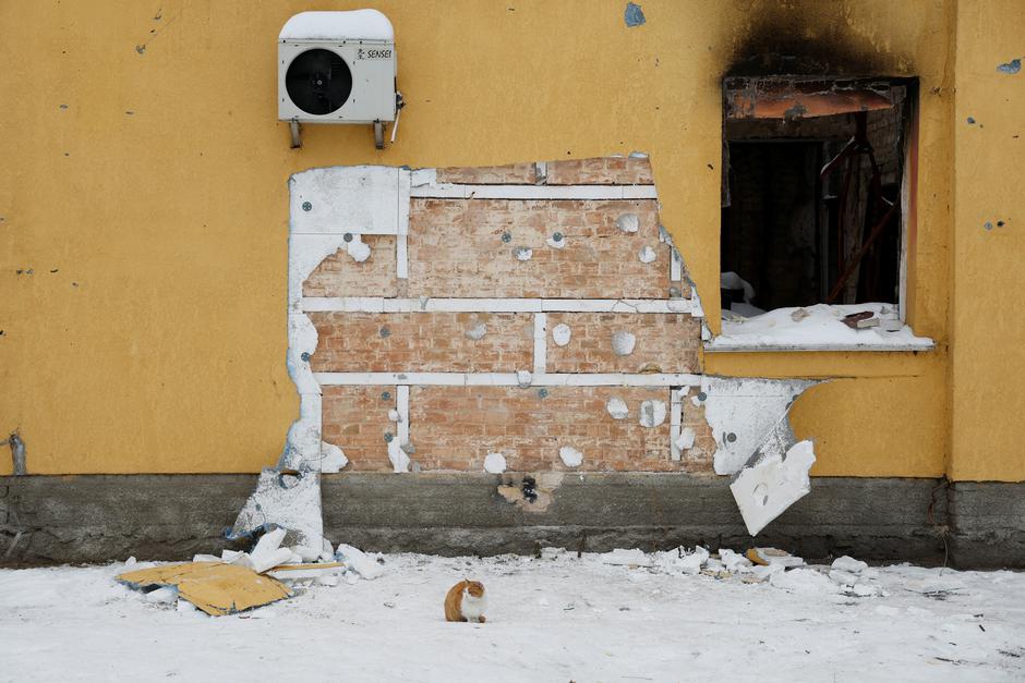 Local cat sits in a front of wall of a residential building from which a group of people tried to steal the work of street artist Banksy, in the town of Hostomel