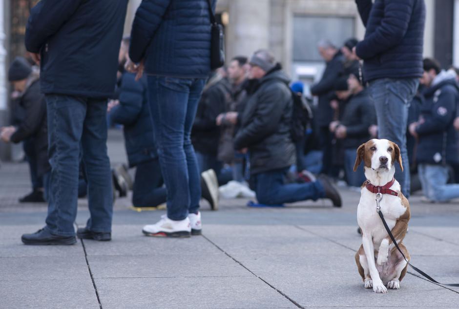 Zagreb: Pas se pridružio molitvi krunice na Trgu bana Josipa Jelačića 