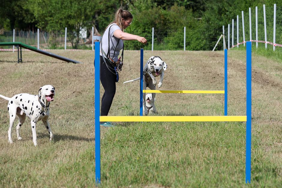 Zagreb: Svečano otvorenje privatnog parka za pse "Bark Park" i treća godisšnjica udruge DOG&GO