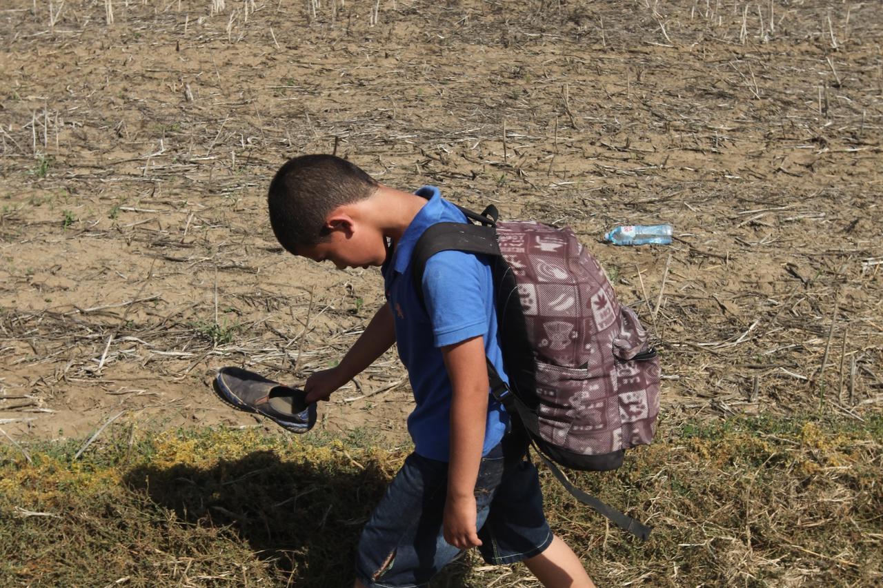 19.09.2015., Tovarnik - Iako je granica sa Srbijom sluzbeno zatvorena izbjeglice i dalje ilegalno ulaze u RH iz Srbije. Granicni prijelaz Tovarnik zatvoren je za promet ali svega 500 metara od prijelaza kroz polje izbjeglice masovno ulaze u RH i nitko ih 