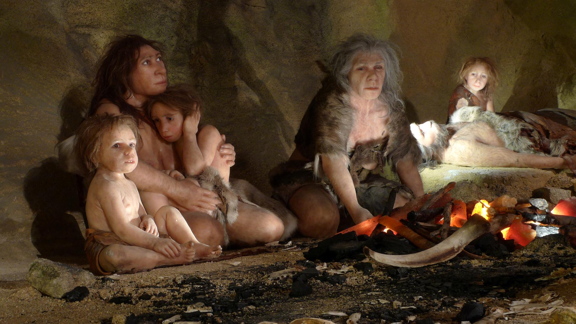 Muzej krapinskih neandertalaca može se pohvaliti uvjerljivo najbogatijom zbirkom artefakata koji na jednom mjestu odaju poštovanje i educiraju posjetitelje o neandertalcima. Na nesvakidašnji i moderan, interaktivan način, prikazuje svakakve zanimljivosti iz života krapinskog neandertalca. Zabavna činjenica: to je također mjesto gdje su X-zrake korištene za analizu fosilnih kostiju po prvi put u povijesti.