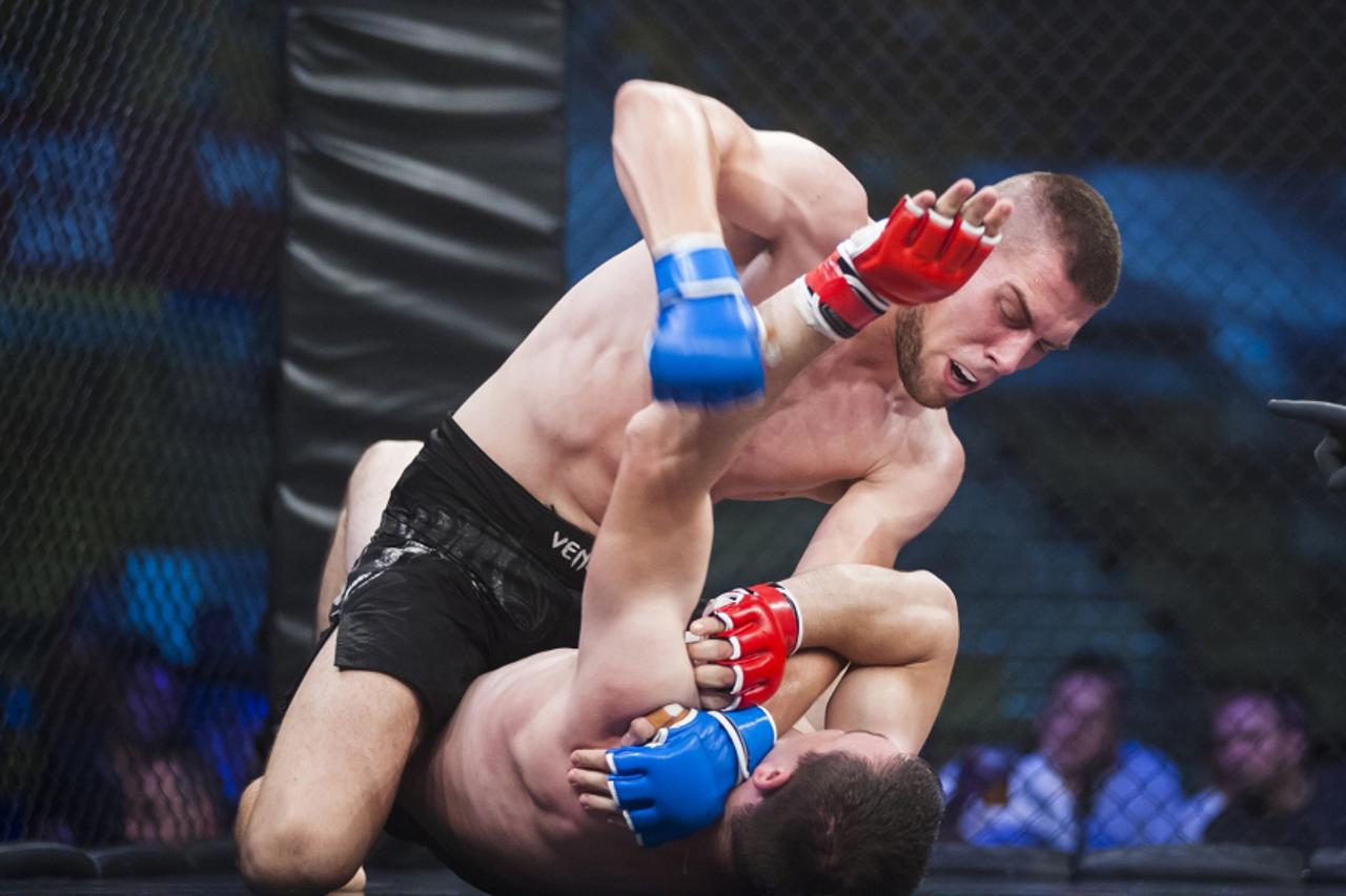 Hrvatska MMA liga (1)