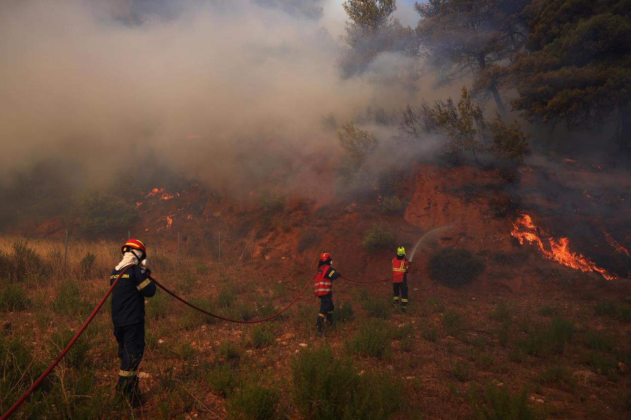 Wildfire burns in Grammatiko, near Athens