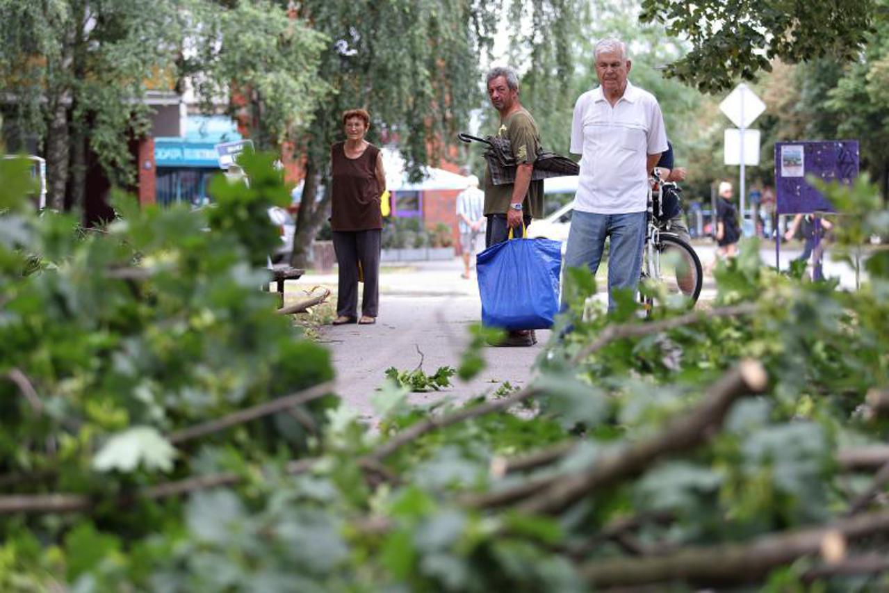 Zrinjevac uklanja grane (1)