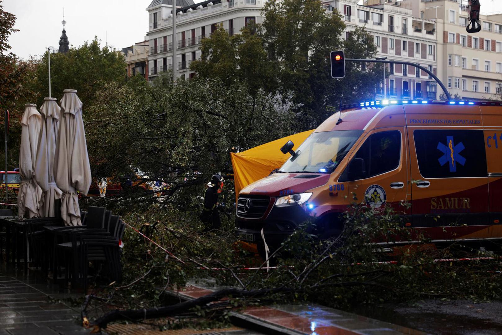 A firefighter clears branches from a fallen tree that killed a woman during storm Ciaran in central Madrid, Spain, November 2, 2023. REUTERS/Susana Vera Photo: SUSANA VERA/REUTERS