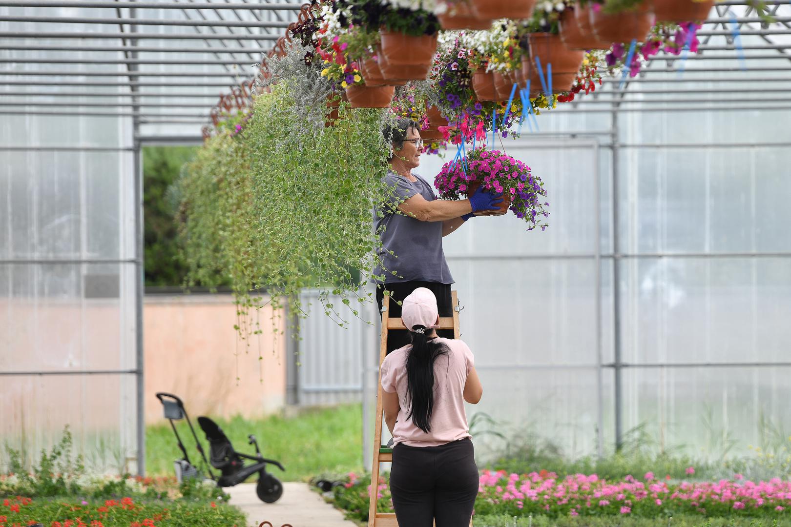 26.05.2022., Veliki Bukovec - Veliko nevrijeme praceno tucom koje je jucer pogodilo podrucje Opcine Veliki Bukovec prouzrocilo je veliku stetu mjestanima koji kazu da je tuca ostetila svaki krov, plastenike, staklenike i usjeve. Mjestani dan nakon nevremena saniraju ostecenja. Photo: Vjeran Zganec Rogulja/PIXSELL