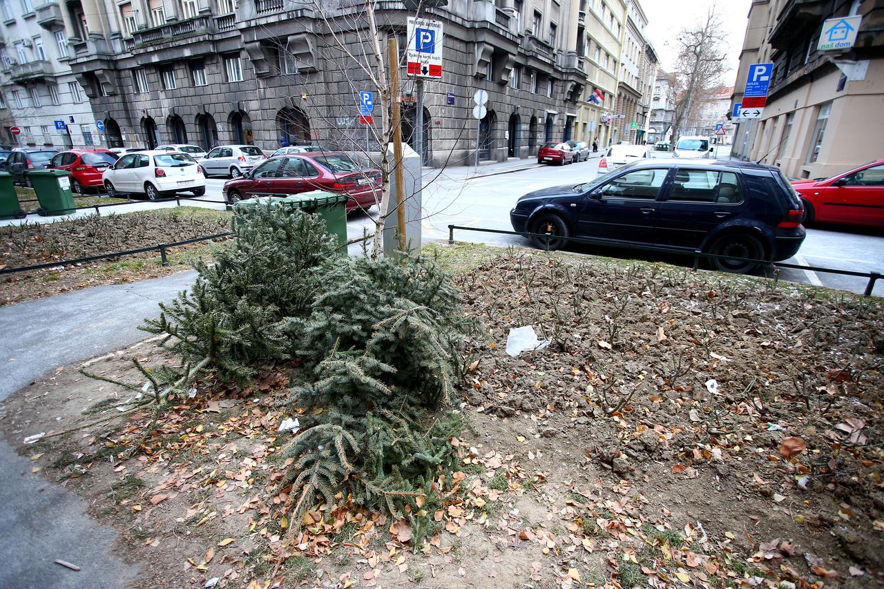 06.01.2017., Zagreb - Sveta Tri kralja blagdan je koji ujedno oznacava kraj bozicnih blagdana te dan kada mnogi gradjani raskicuju bor ili jelku.  Photo: Slavko Midzor/PIXSELL