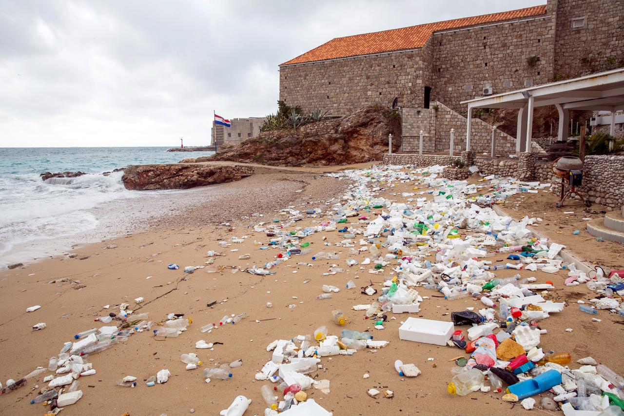 Ugrožena je većina morskih ptica u svijetu, i to zbog plastike kojom su zagađena mora