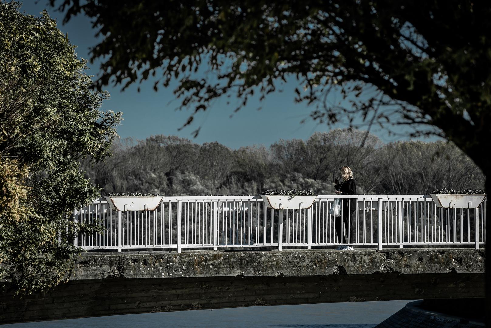 09.11.2023., Vukovar - Jedan obican dan u Vukovaru. Lokacije u centru grada gdje je najveca frekvencija prolaznika. Photo: Davor Javorovic/PIXSELL