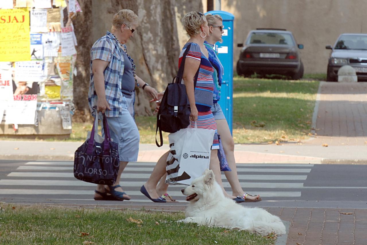 '20.06.2013., Sisak - U posljednje vrijeme zabiljezeno je nekoliko napada pasa na prolaznike.(ARHIVA) - za Regije Sisak. Photo: Nikola Cutuk/PIXSELL'