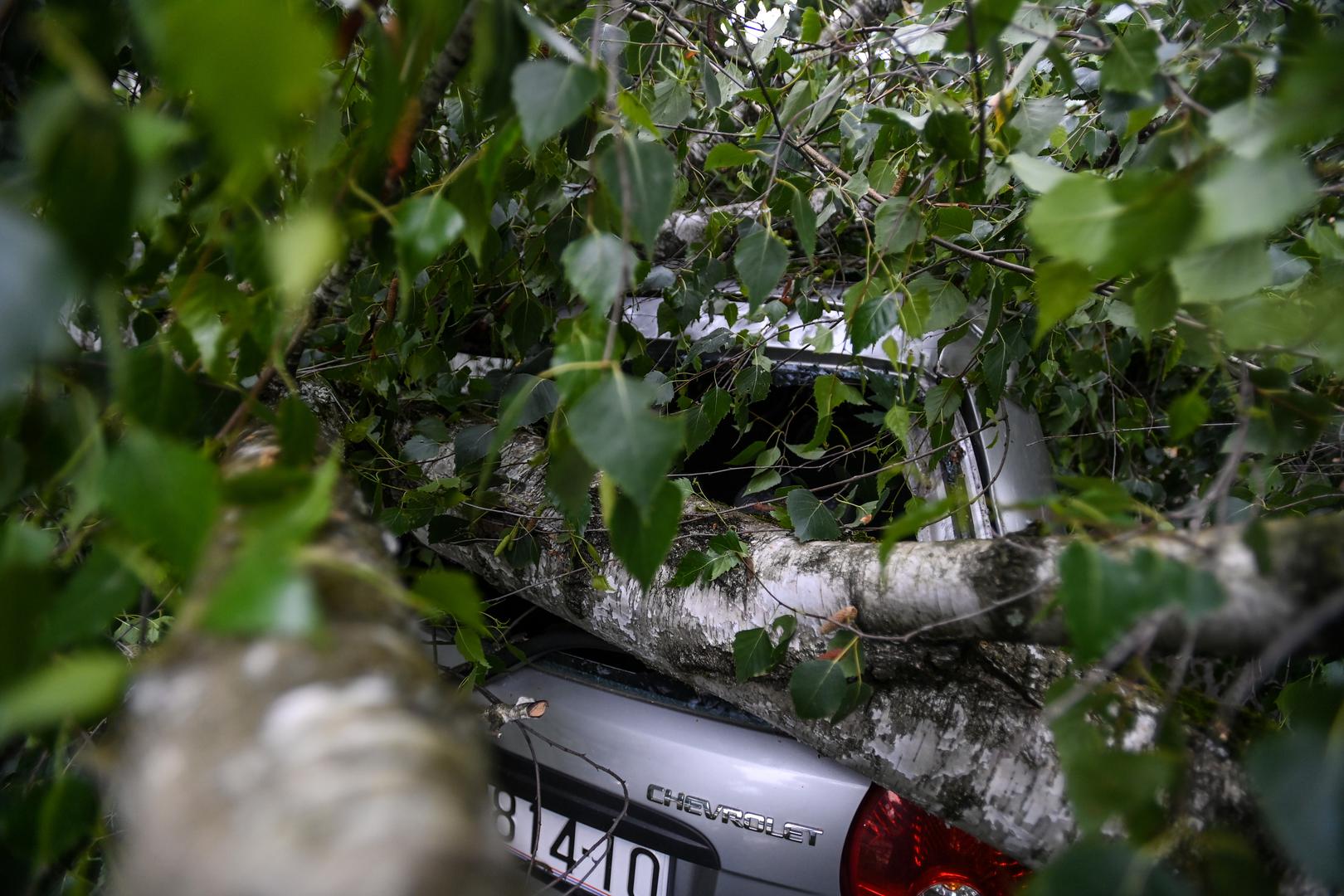 23.06.2023.,Zagreb - Olujni vjetar srusio  stablo u Ulici Ante Jaksica  , tri automobila ostecena  Photo: Igor Soban/PIXSELL