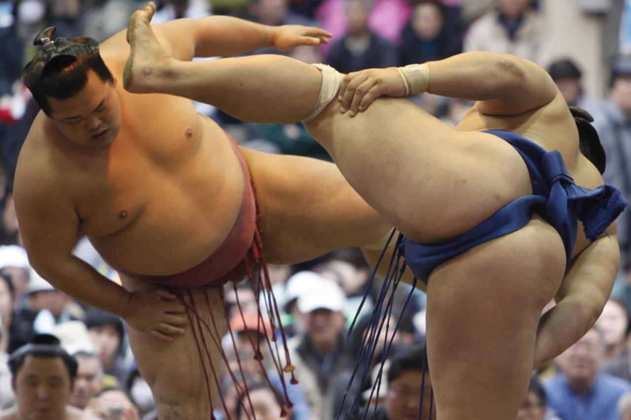 Sumo borci