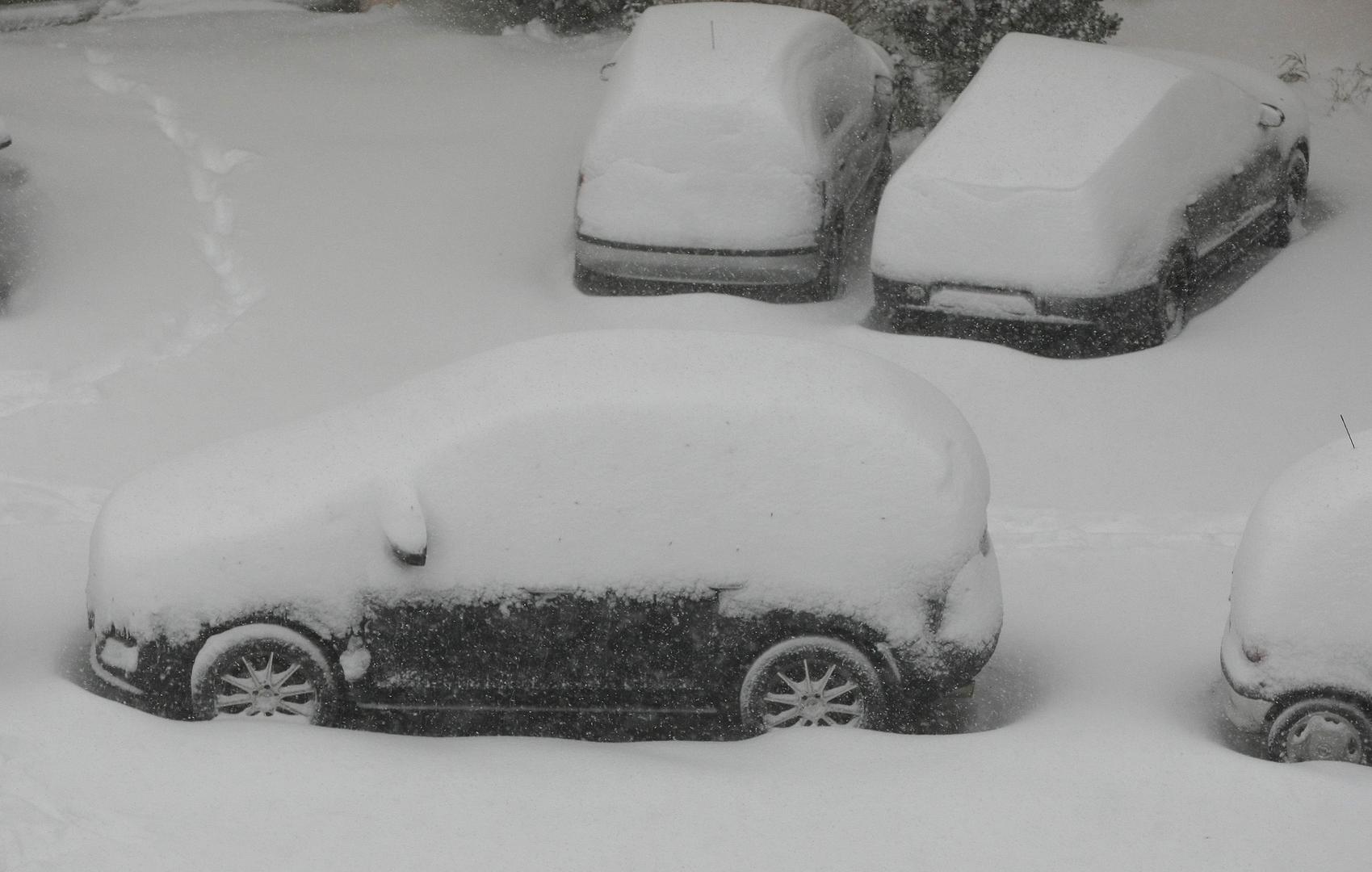 Meteorologinja Dunja Mazzocco Drvar iz Državnog hidrometeorološkog zavoda tada je izjavila kako se takav snježni dan u Zagrebu posljednji put dogodio 7. ožujka 1955. godine. 