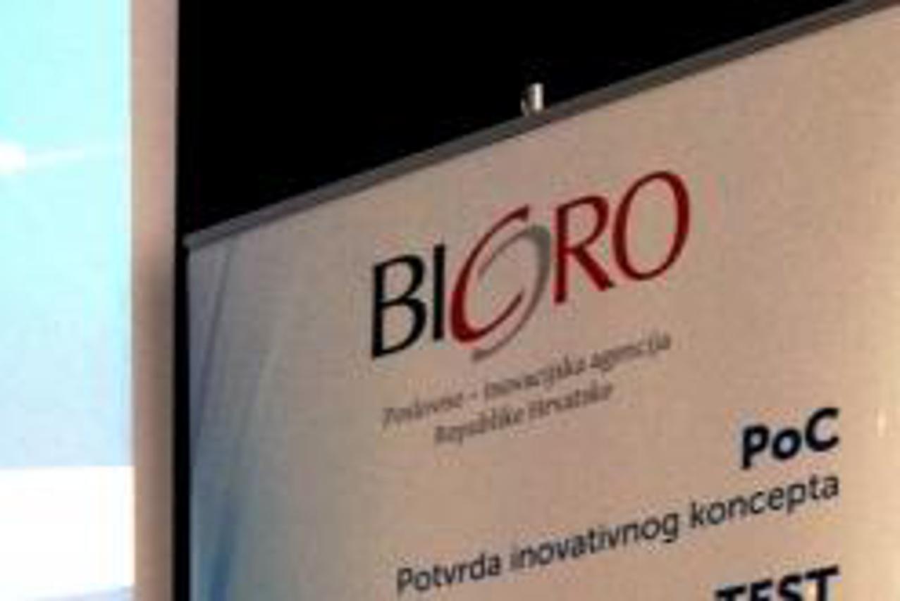 bicro radionica (1)