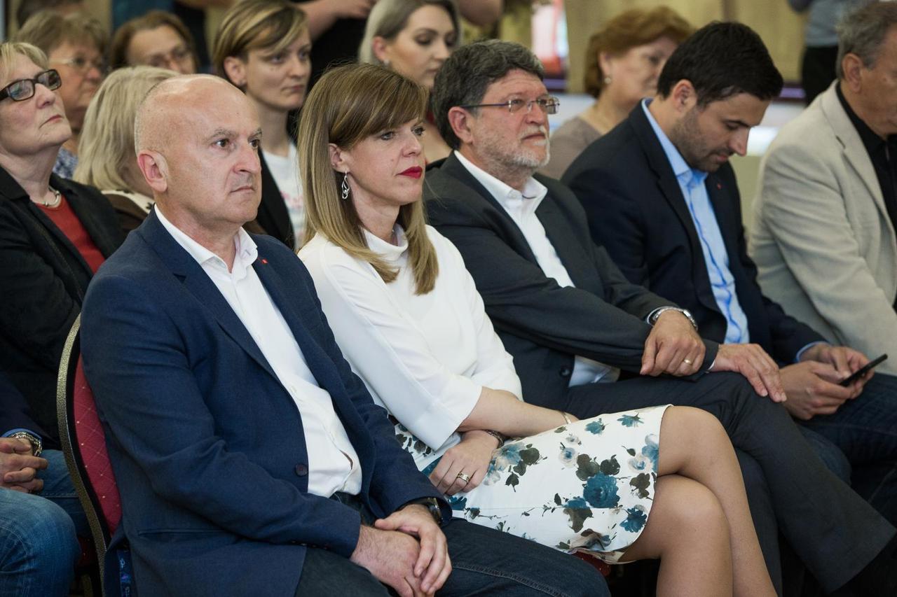 Tonino Picula, Biljana Borzan, Fred Matić