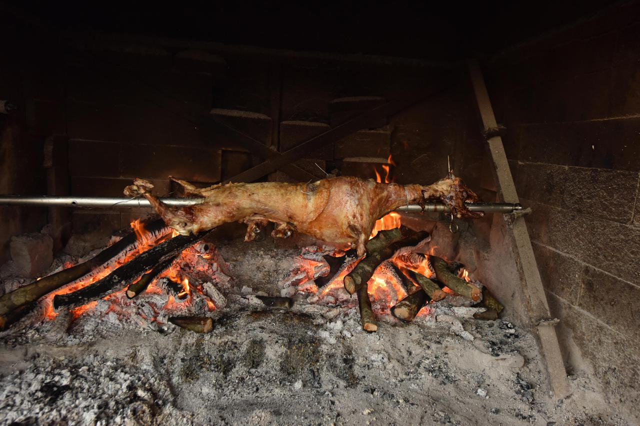 Vrpolje: Udruga uzgajiva?a ovaca i koza Dalmacije traži zaštitu sorte pramenka