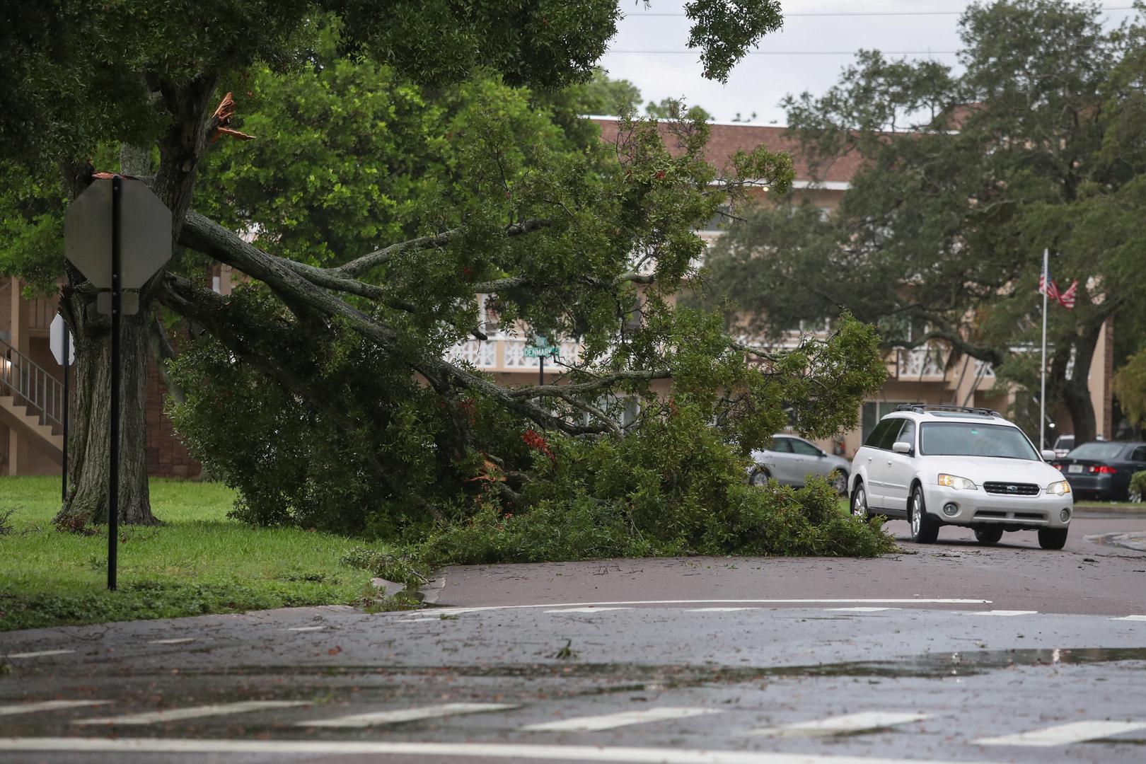 A resident drives past a fallen tree due to the high winds from Hurricane Idalia in Clearwater, Florida, U.S., August 30, 2023. REUTERS/Adrees Latif Photo: ADREES LATIF/REUTERS