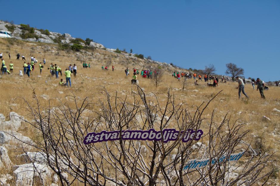 Održana je prva akcija pošumljavanja opožarenih područja dalmacije u sklopu projekta „Boranka“