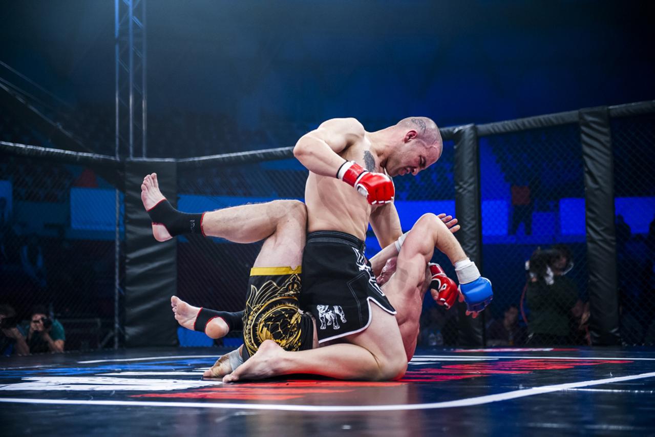 Hrvatska MMA liga (1)