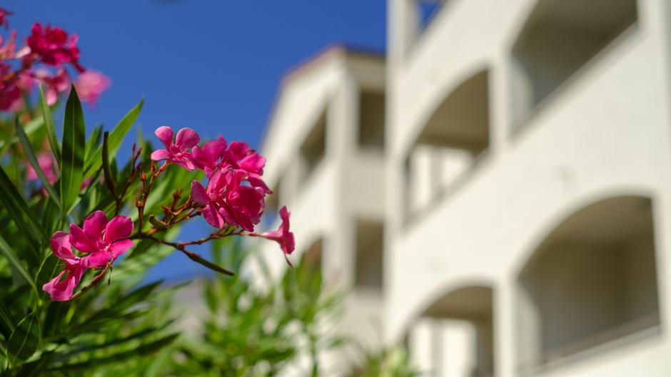 Hotel Flores u Poreču