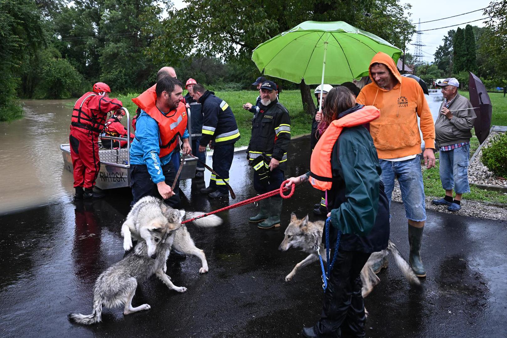 05.08.2023., Drenje Brdovecko - Civilna zastita i HGSS spasavaju zivotinje iz poplavljenjih domova Photo: Davor Puklavec/PIXSELL