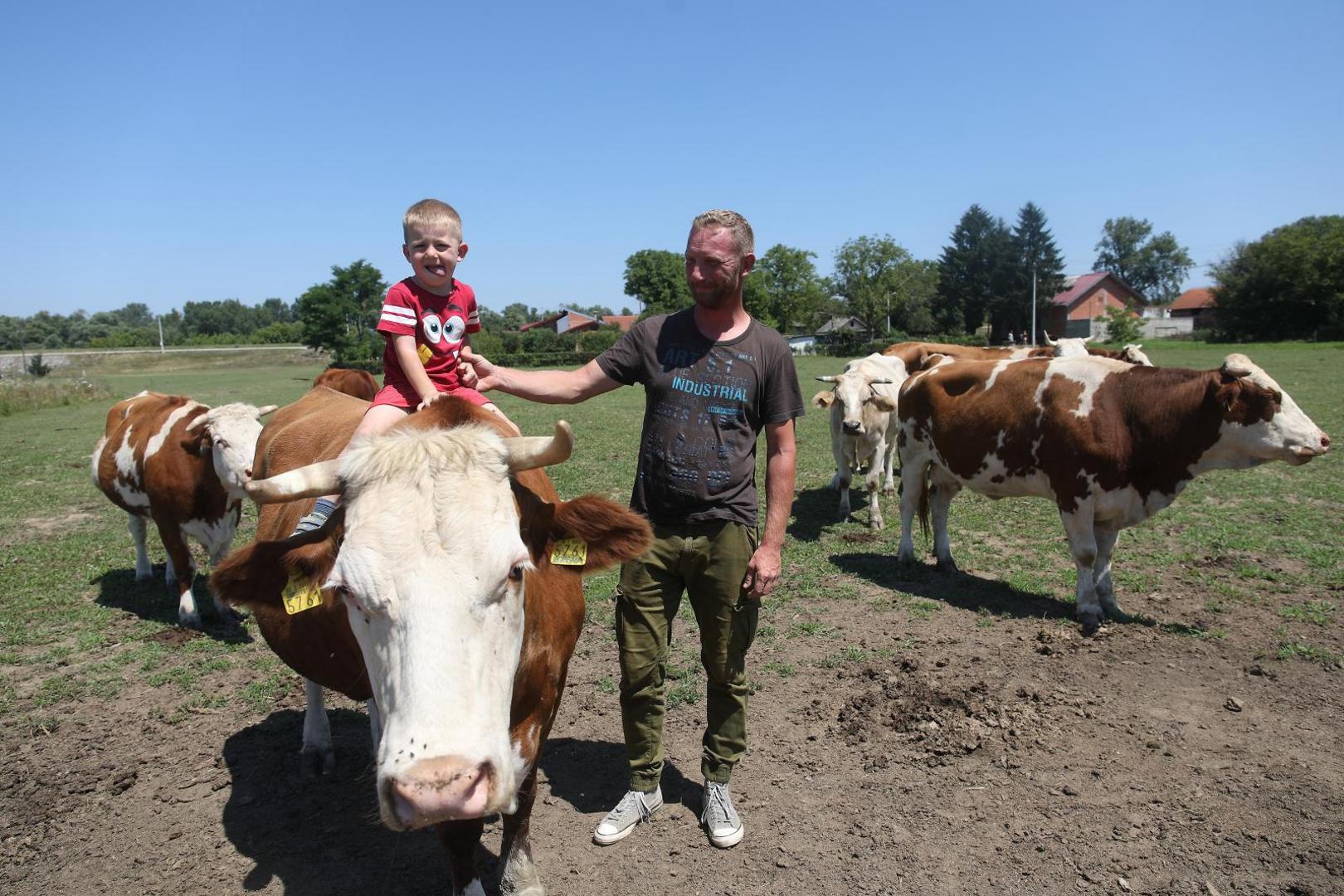 21.07.2020., Velika Gorica - Goran Speka, u selu Drnek kraj Oborova, bavi se stocarstvom i svinjogojstvom sa suprugom Ivanom i djecom Lucijom, Martinom i Matijom. 
Photo: Boris Scitar/Vecernji list/PIXSELL