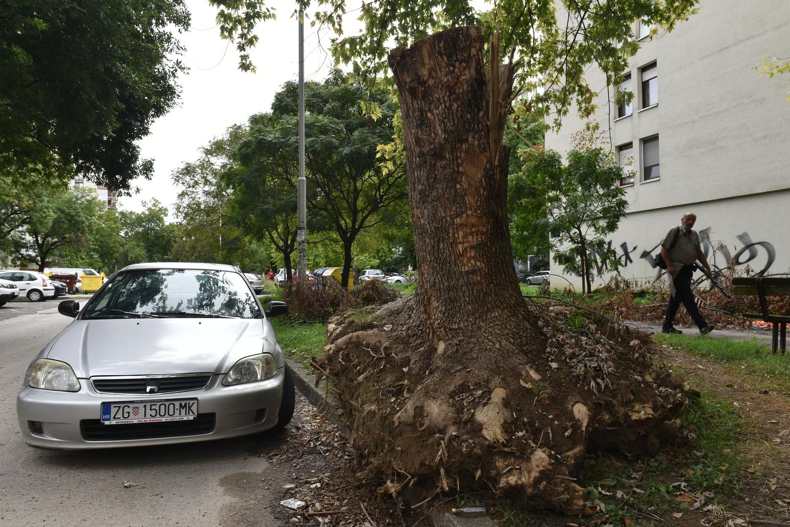 30.8.2023., Zagreb - Reportaza iz Novog Zagreba cije su javne povrsine zapustene. Photo: Davorin Visnjic/PIXSELL