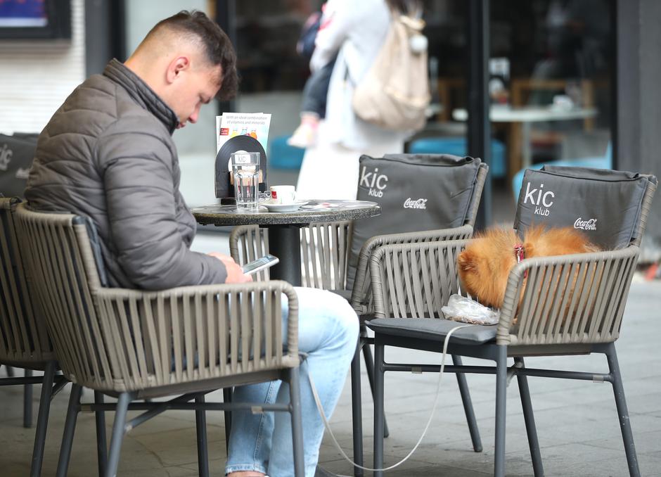 Zagreb: Simpatični pas omastio brk posebnom poslasticom dok je njegov vlasnik uživao u kavi