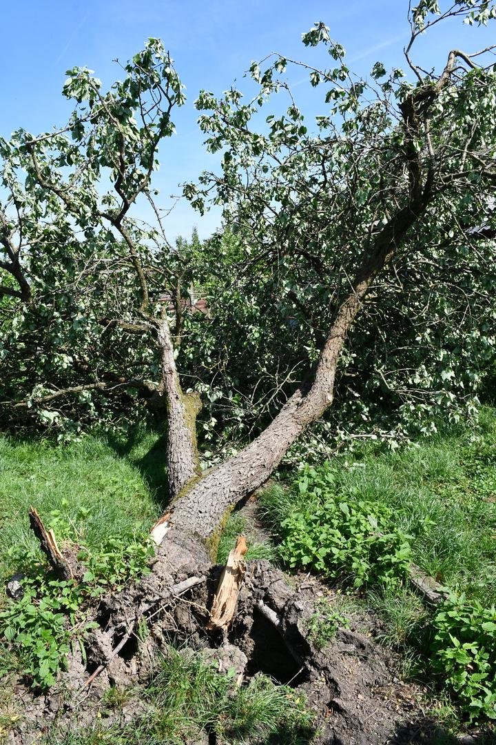 26.05.2022., Sela, Greda - Posljedice jucerasnjeg nevremena vidljive su na svakom koraku. Photo: Nikola Cutuk/PIXSELL Photo: Nikola Cutuk/PIXSELL