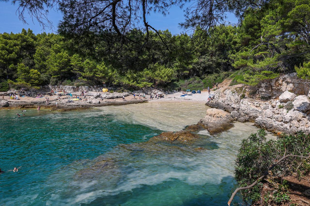 Cvjetanje mora na plažama u Puli