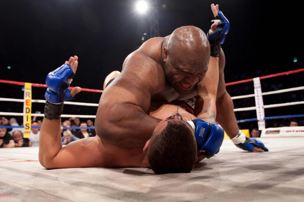 Bob Sapp