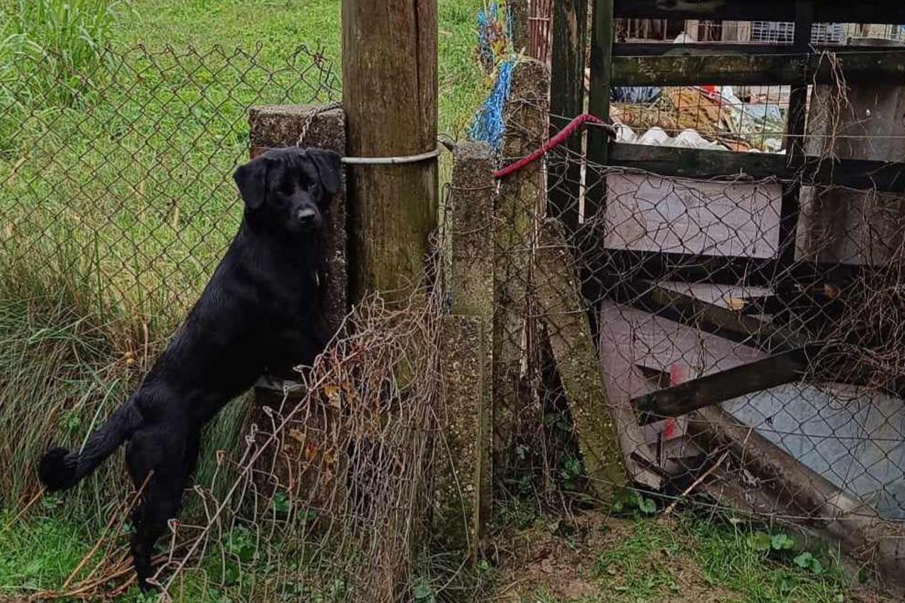 Blacky je u Dugom Selu, ali na drugoj adresi