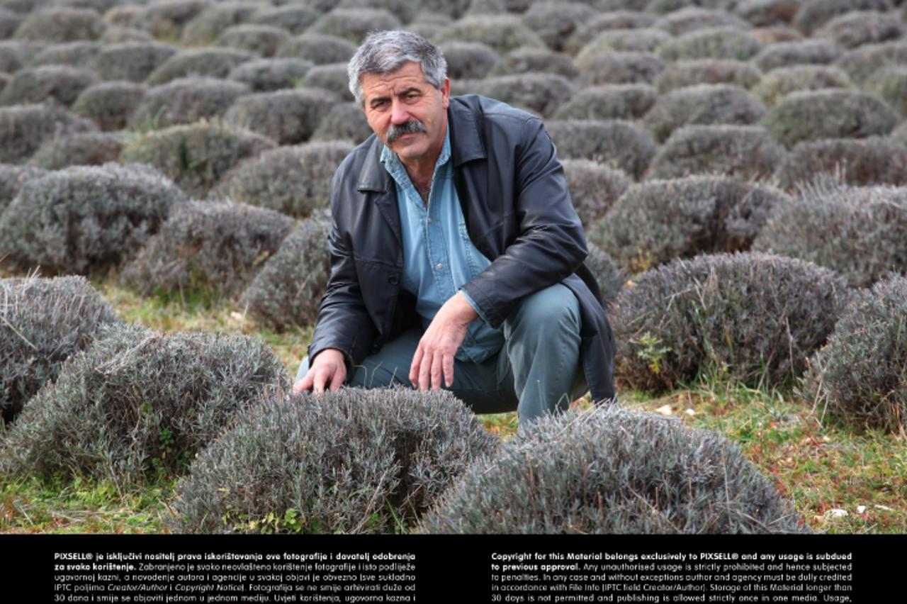 'SPECIJAL DOM I VRT 18.022013., Debeljak - Goran Pavic iz Debeljaka ima nasade badema, lavande te drzi pcele. Photo: Zeljko Mrsic/PIXSELL'