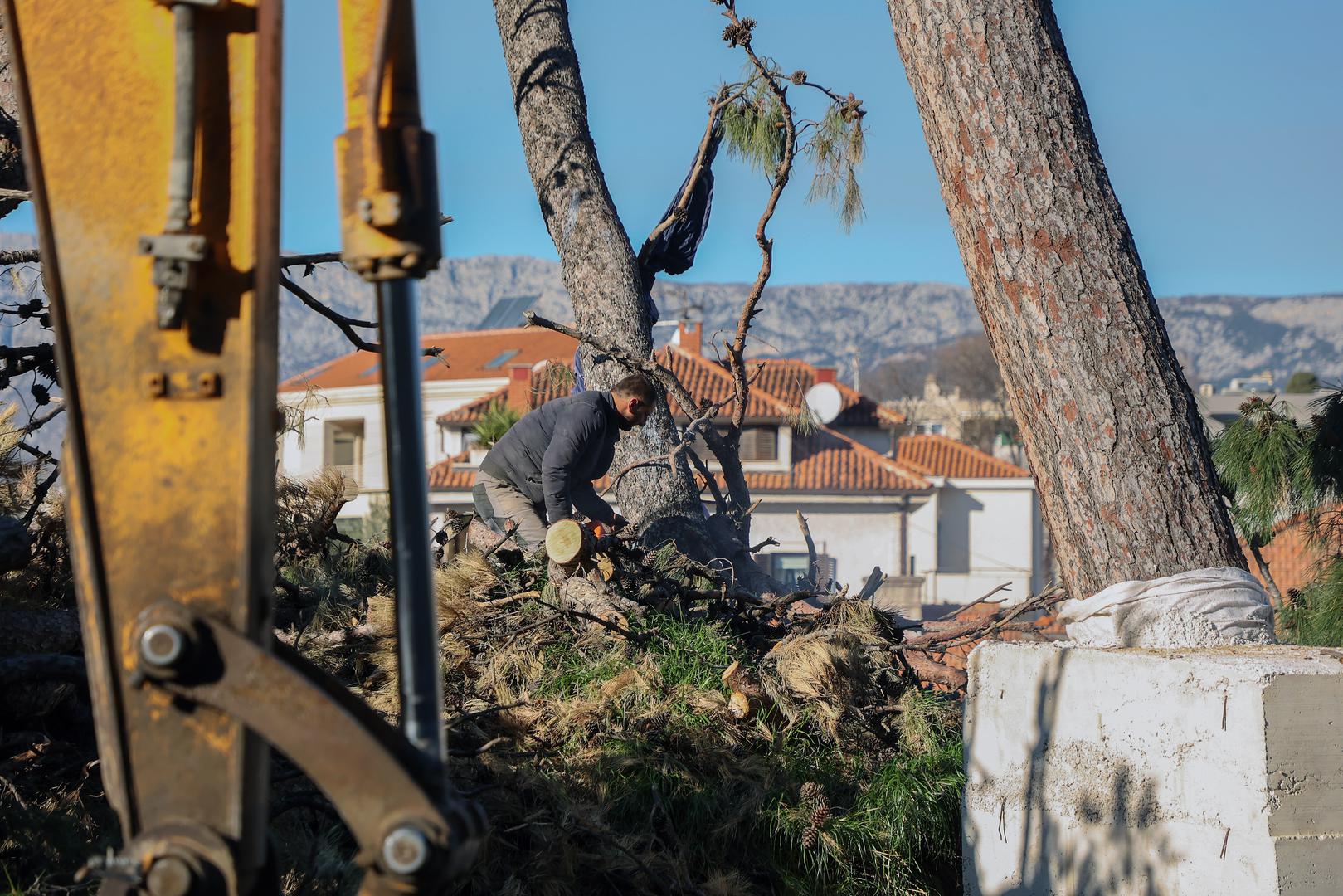 30.01.2024., Split - Dogradonacelnika Splita Bojana Ivosevica privela policija na ispitivanje jer je ponovno zaustavio rusenje stabla na gradilistu kod tvrdjave Gripe Photo: Ivana Ivanovic/PIXSELL