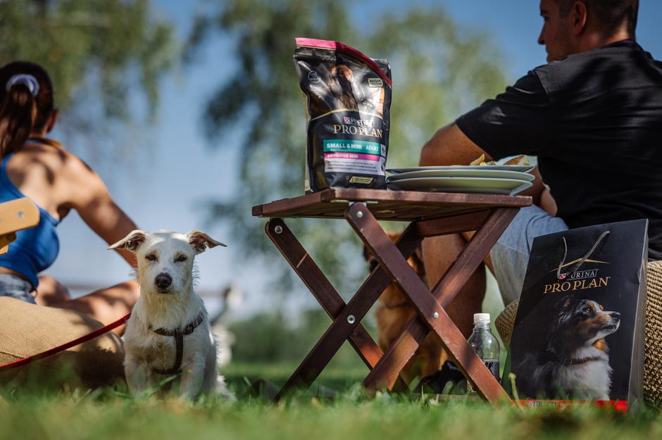 Real Dog Conference