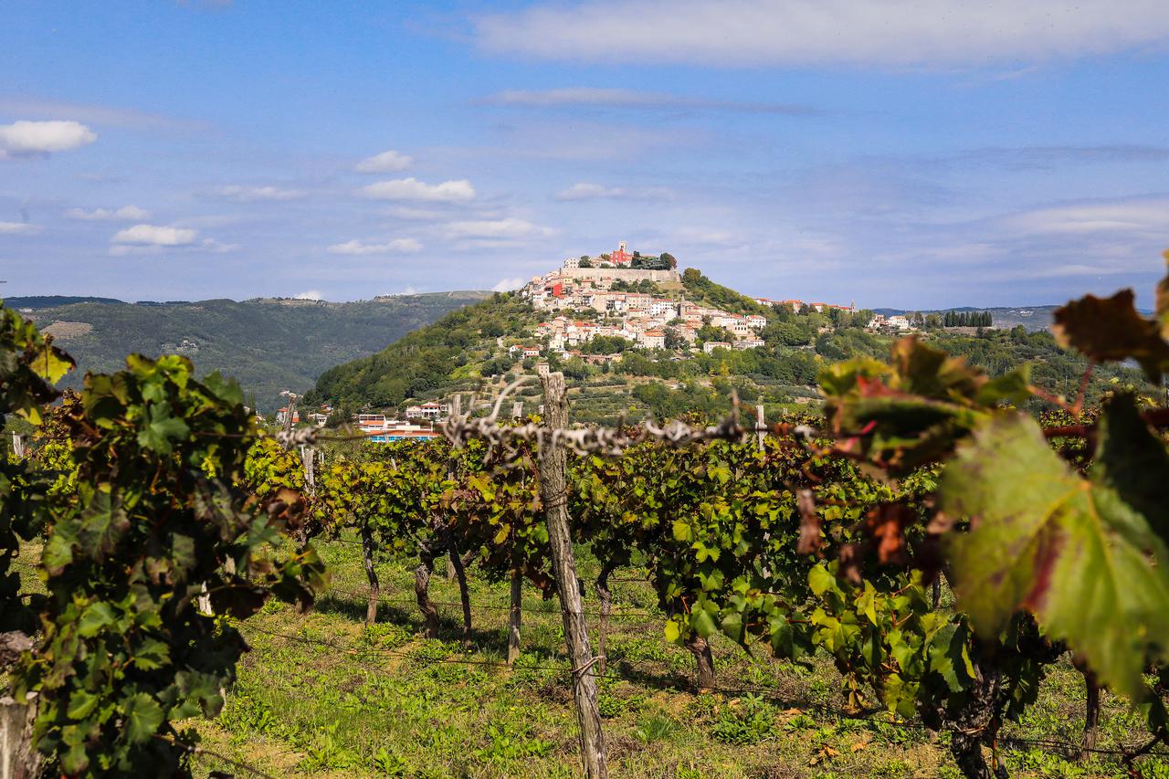 Motovun